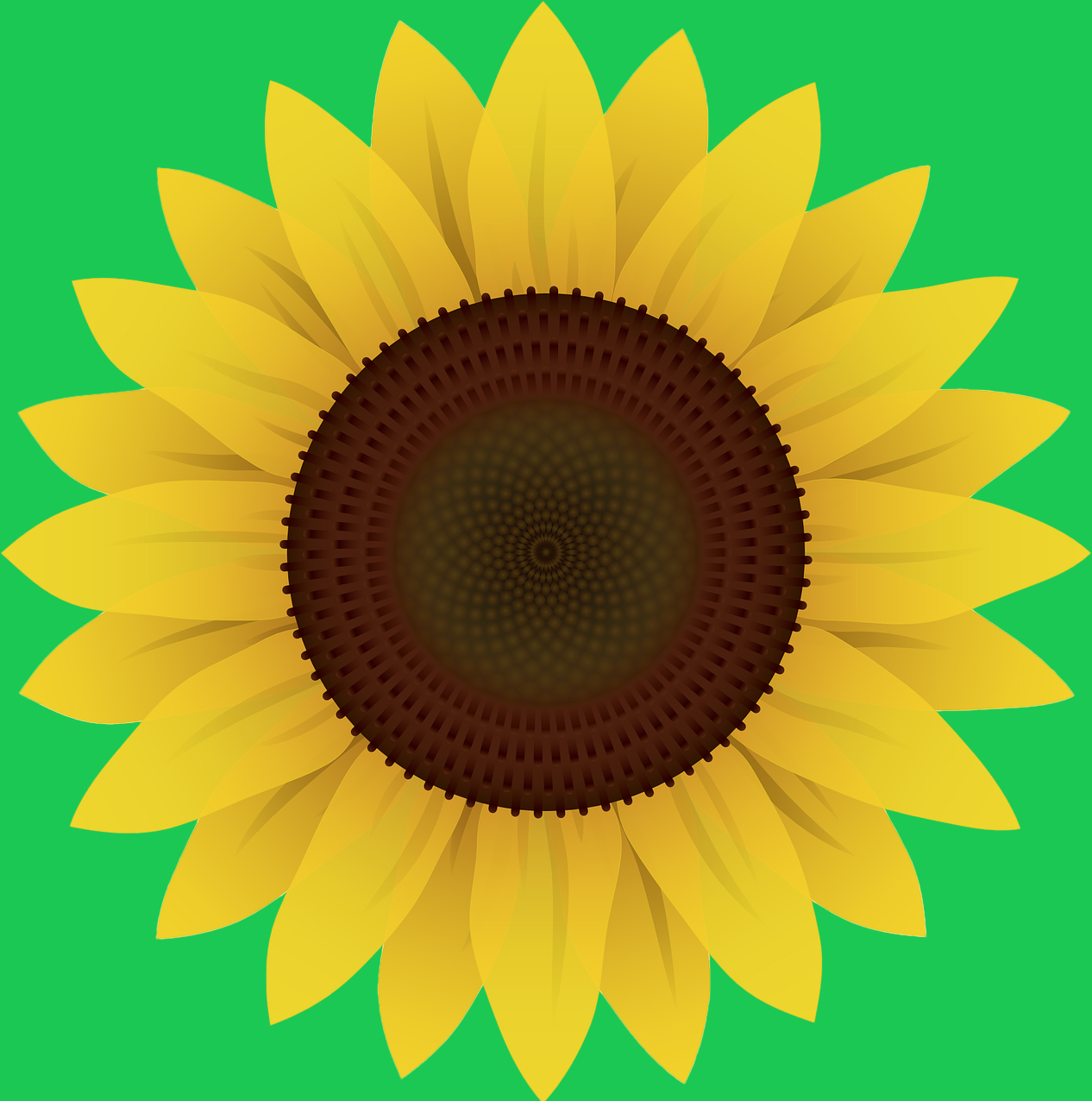 Sunflower invisible disability symbol